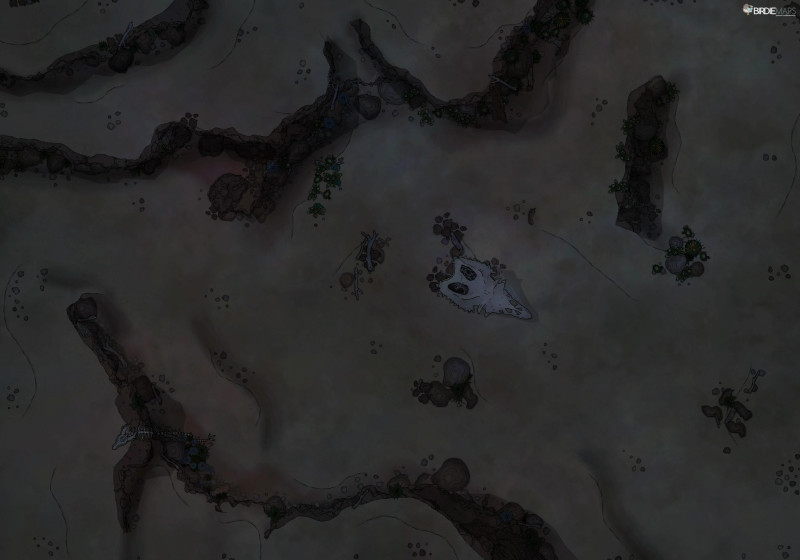 Desert [50x35]