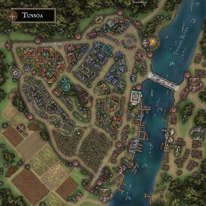 Tussoa Map; Wildemount, Exandria ( EDIT: UNLABELED )