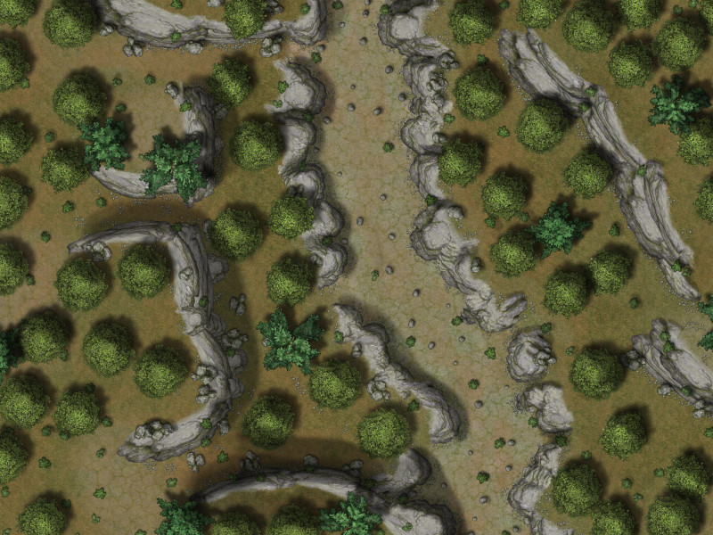 Forest Map 40x30