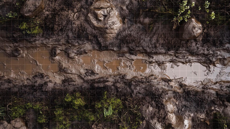 muddy riverbed