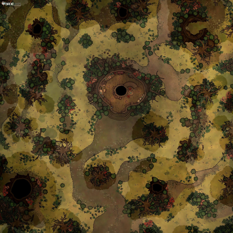 Squirrel Hideout [40x40]