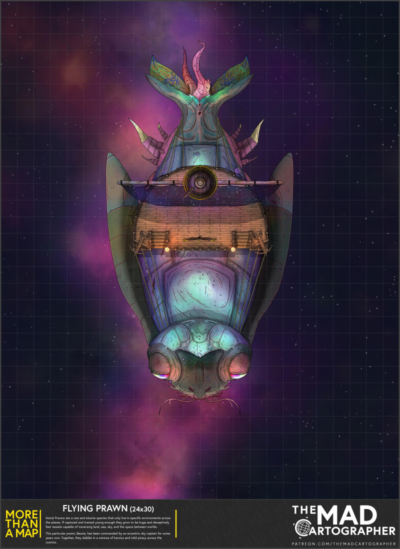 [20x30] More Than a Map: Flying Prawn
