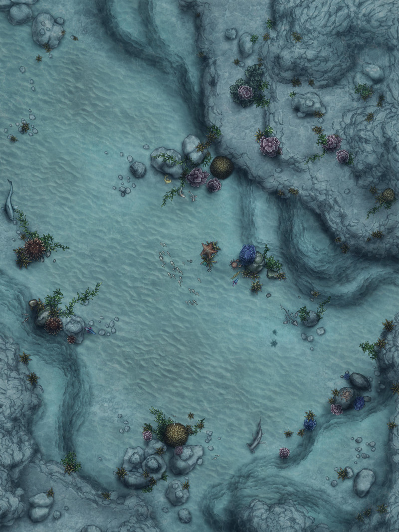 Tropical Reef [30x40] - 6 unique variations