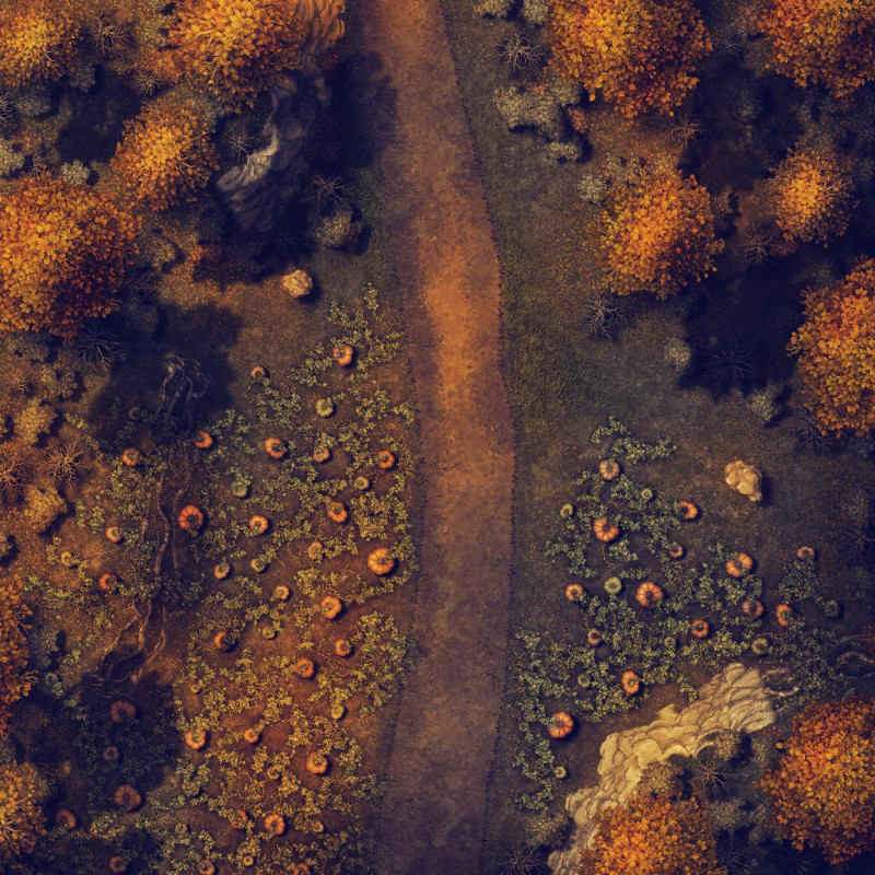 Autumn Road