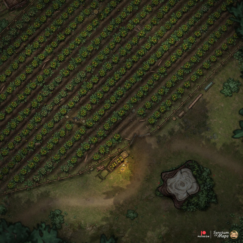 Cornfield - Night - 25x25
