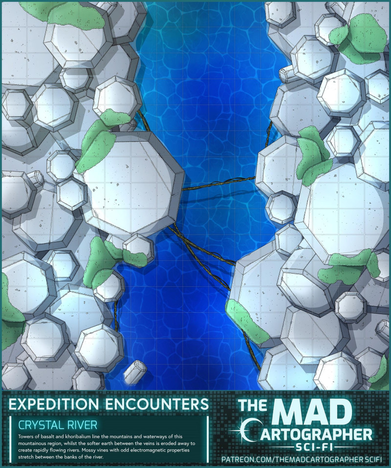 Expedition Encounter: Crystal River!