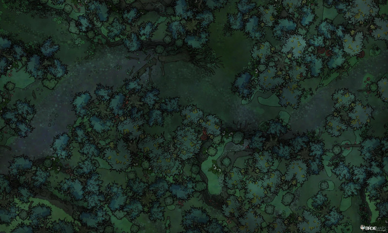 Swamp Road [50x30]