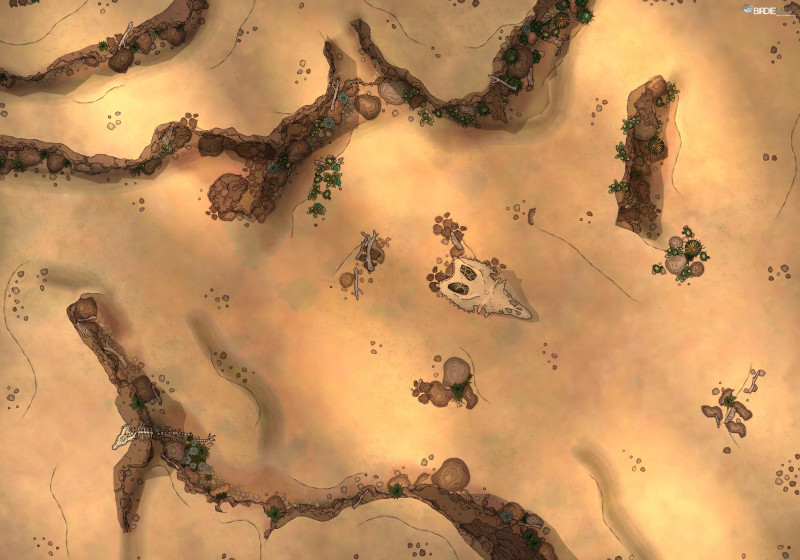 Desert [50x35]
