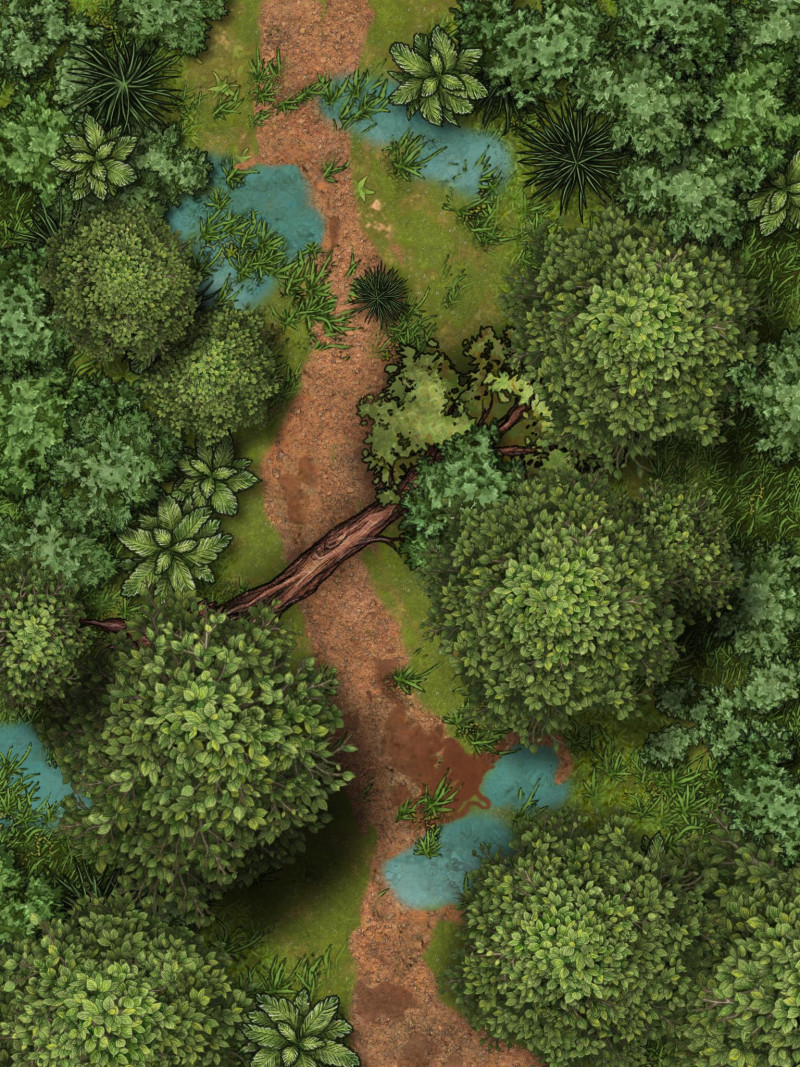 Map for fight with bandits/goblins/etc