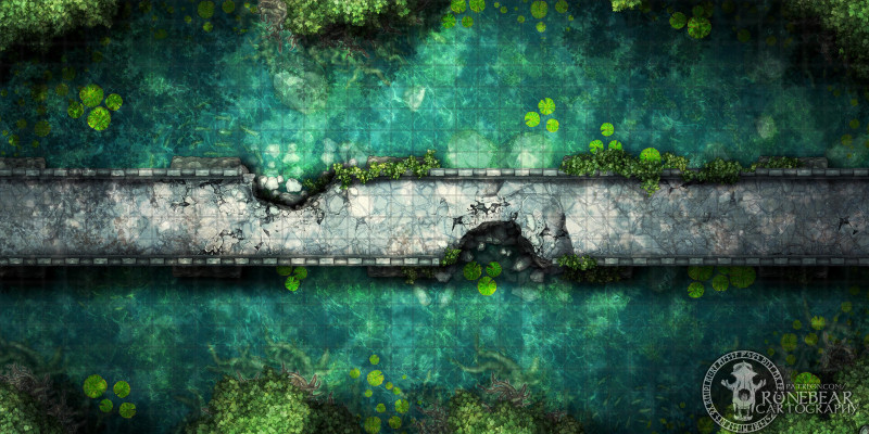 Bridge Through the Marshes 40x20 Battlemap by Runebear Cartography
