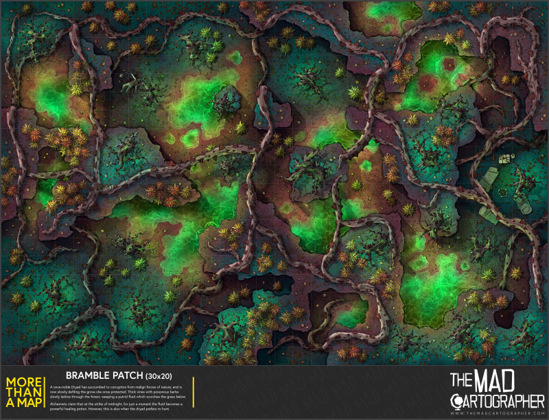 [30x20] More Than a Map: Bramble Patch