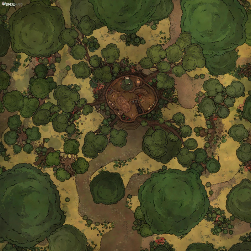 Squirrel Hideout [40x40]