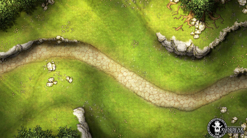 The Open Road 48x27 Battlemap by Runebear Cartography