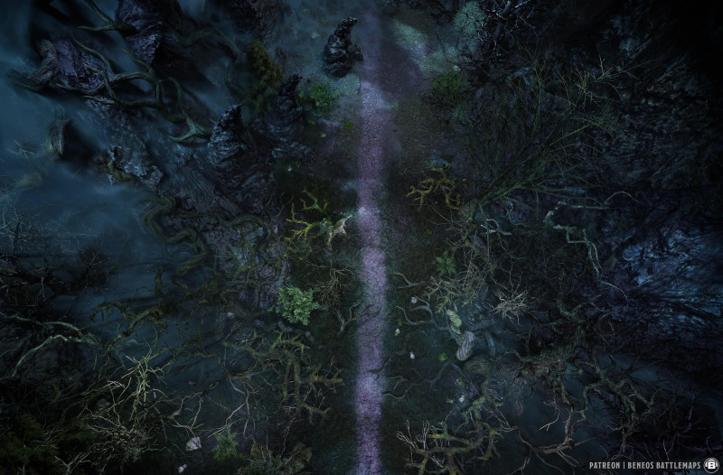 Dark Woods | [Animated Battlemap] [39x25] [100px per Square] [Gridless] [3D Rendered] [OC] | Beneos Battlemaps