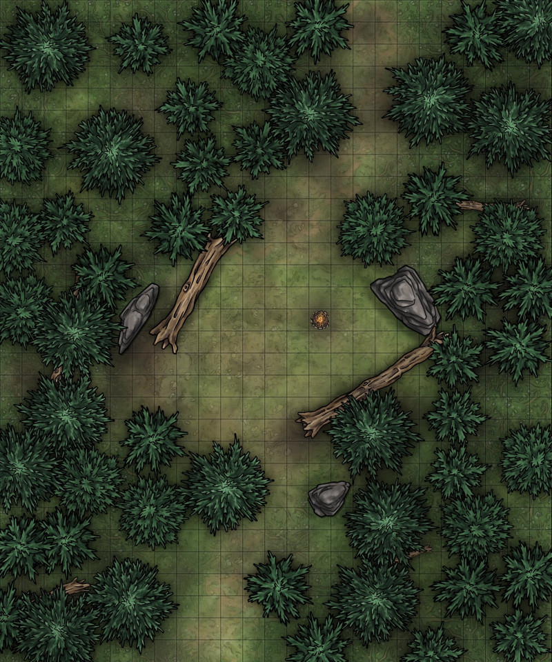 Camp in a cedar forest
