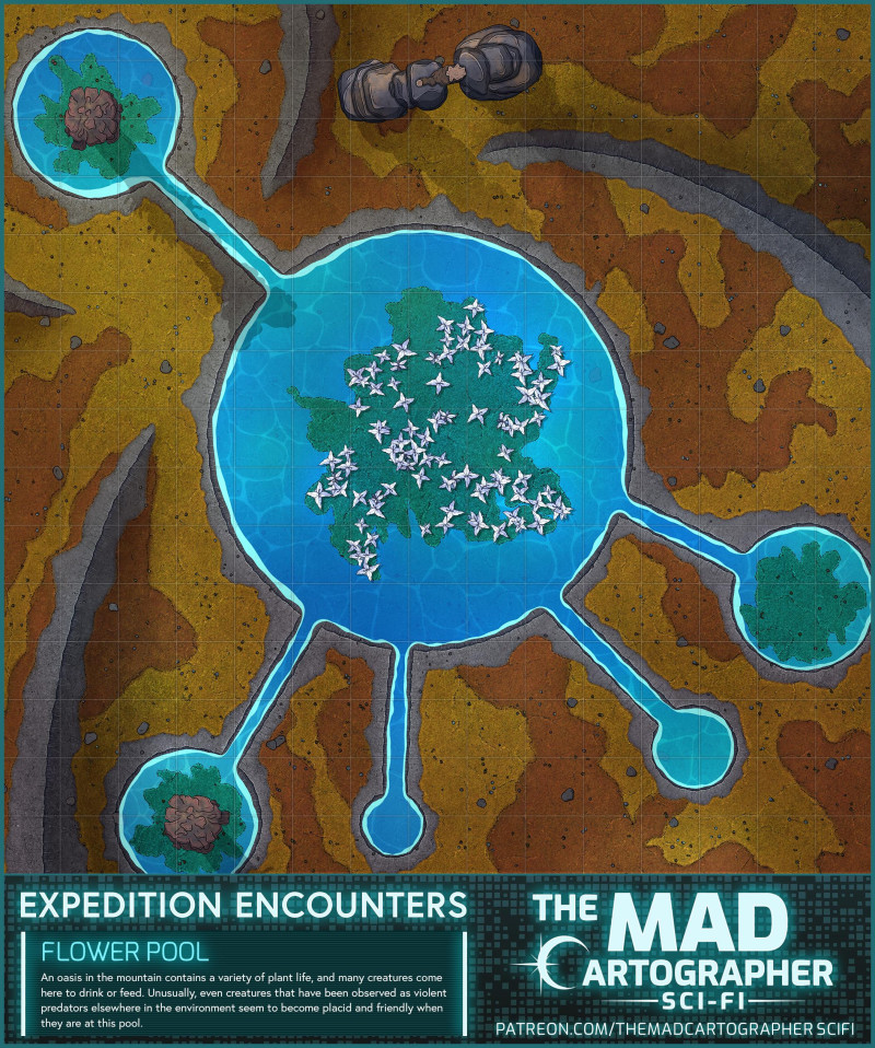 Expedition Encounter: Flower Pool