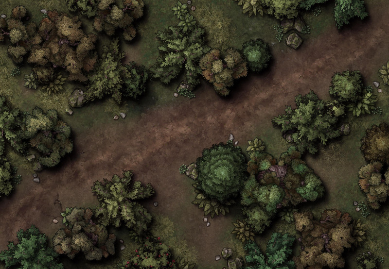 Forest Dirt Road  [26x18]