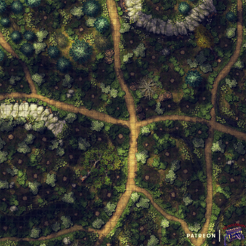 Deep woods