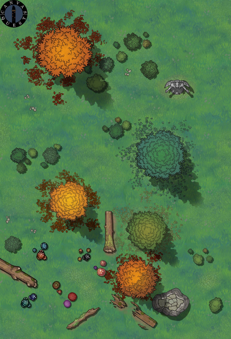 Heroes of the Borderlands: Trail + Woods