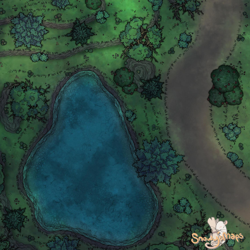 [25x25] Forest Lake Road Night