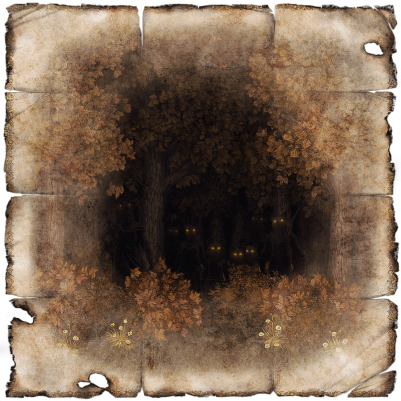 Eyes in the Forest