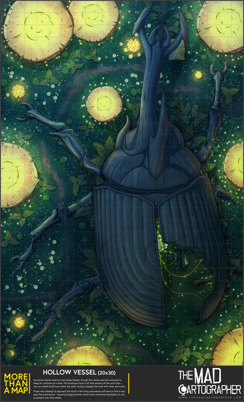 [20x30] More Than a Map: Hollow Vessel!