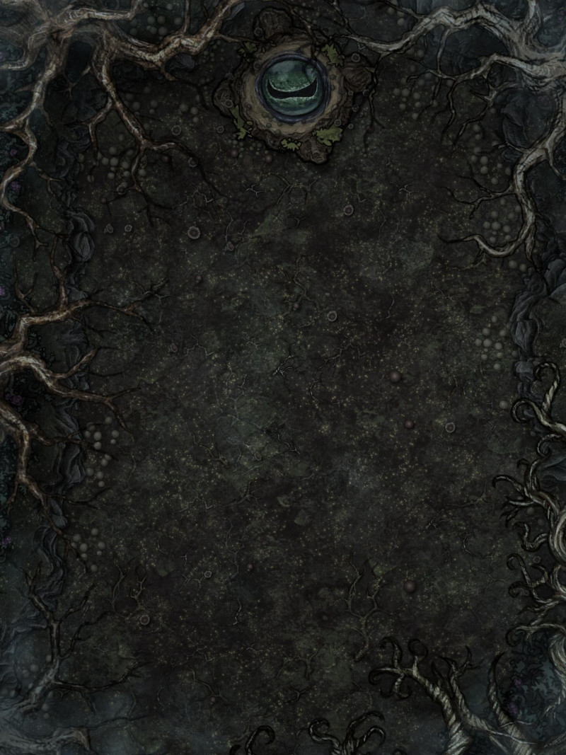 The Fungal Nucleus / Spoooooooooky woods.