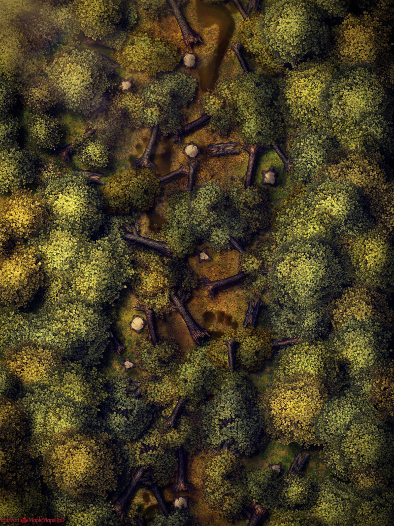 Forest Event Pack by MapleMapsDnD | [Battle Map] [No AI] [OC] [Art]