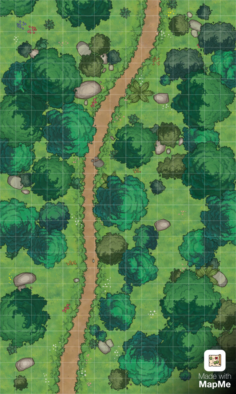 Simple Forrest Road - [15x25] [Battle Map] [No AI] [OC] [Art]