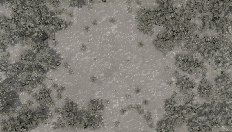 Reign of Winter Part Two: The Dvezda Marches