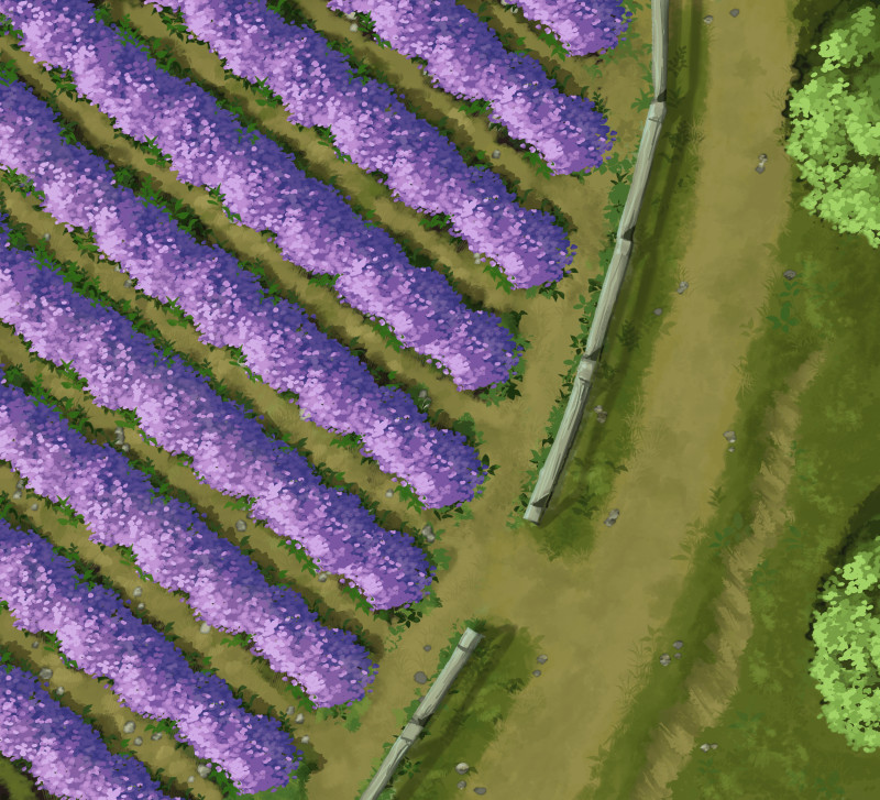 Lavender Field [11x10]