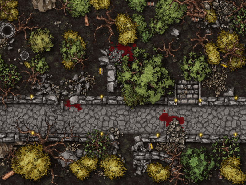 dark forest battlemap