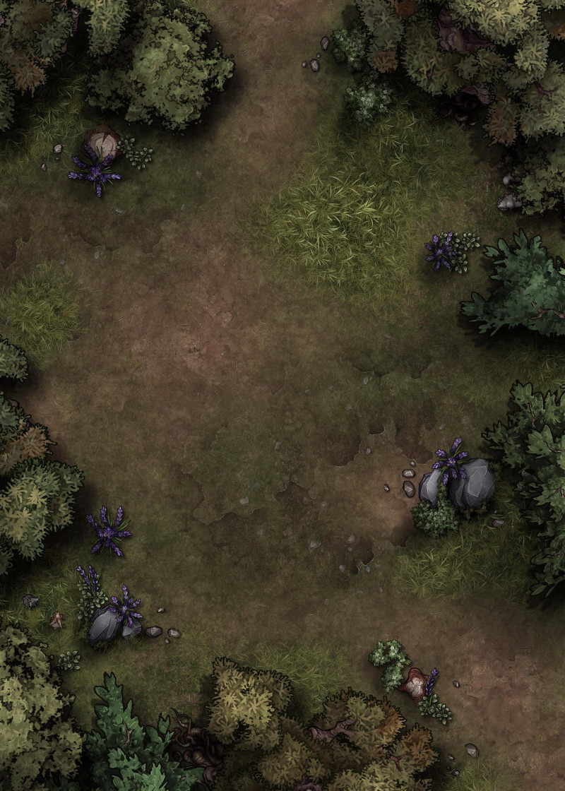 Open Clearing [20x28] - Summer, Autumn, Tropical, Winter, Eastern, Desert