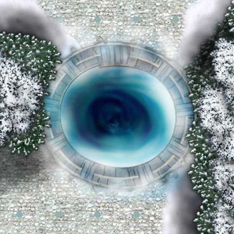 Reign of Winter Book 2 Part 4 — The Endless Forest