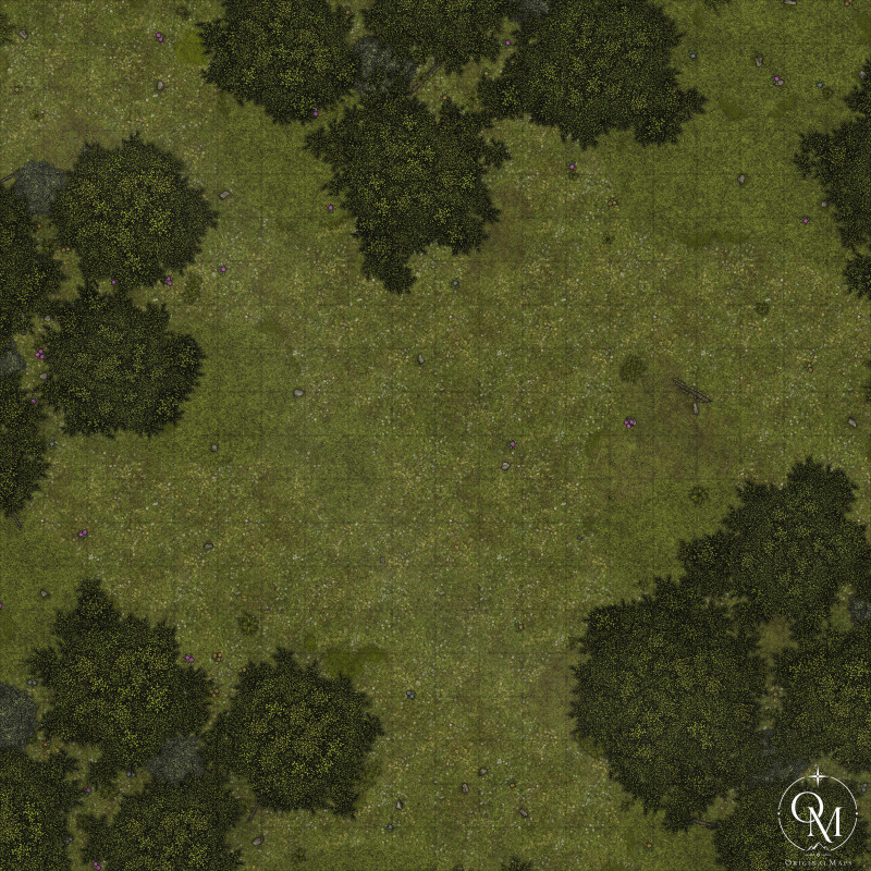 Forest [20x20]