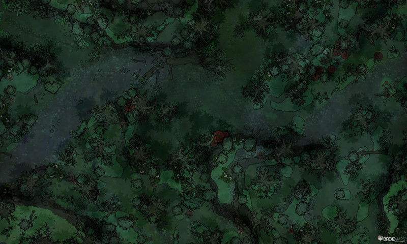 Swamp Road [50x30]