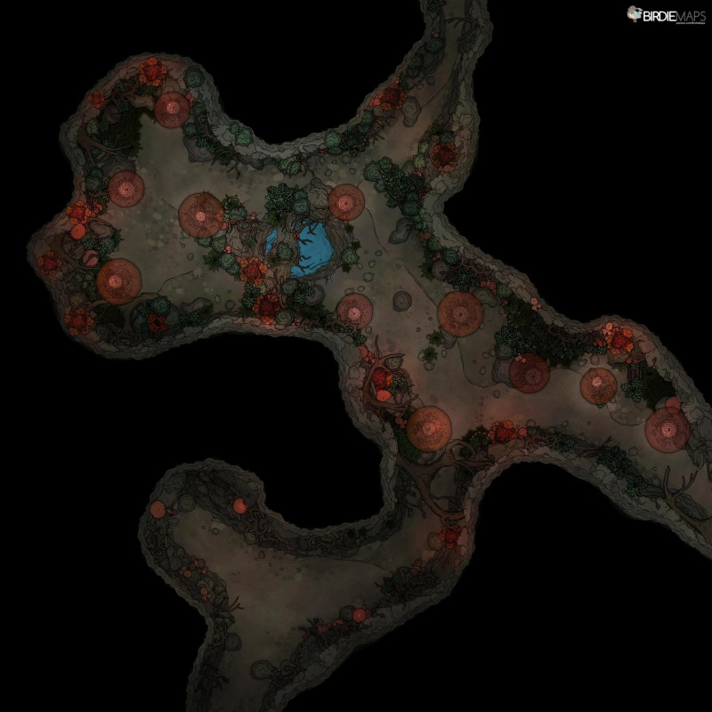 Mushroom Jungle Cave - [30x30]