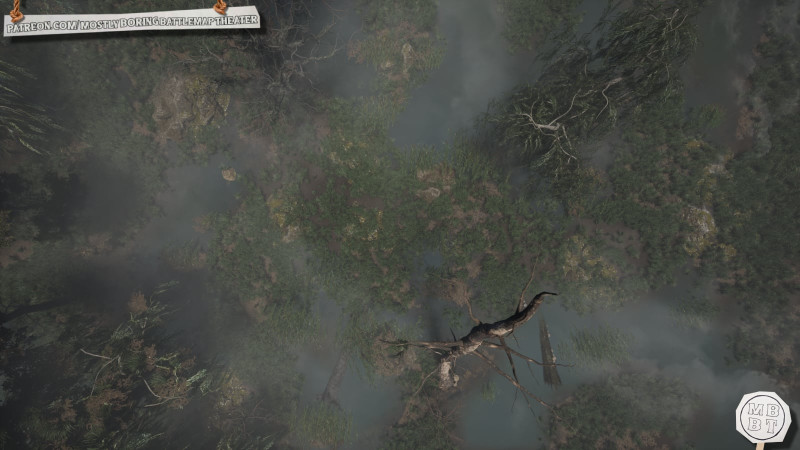 Foggy Swamp Path - Battlemap with Cinematic View