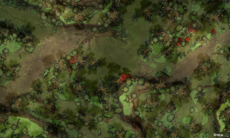 Swamp Road [50x30]