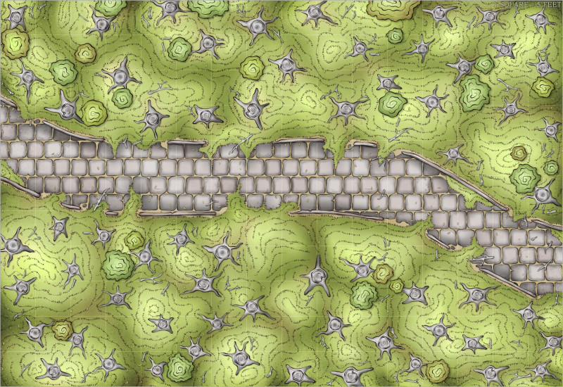Encounter Map - The Stoney Grove (16x11)