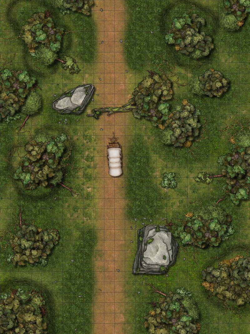 Looking for tips on a forest road map