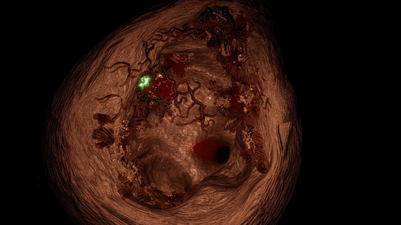Free Battle Maps & Animated Battlemaps - Hellwasp Nest | Descent into Avernus
