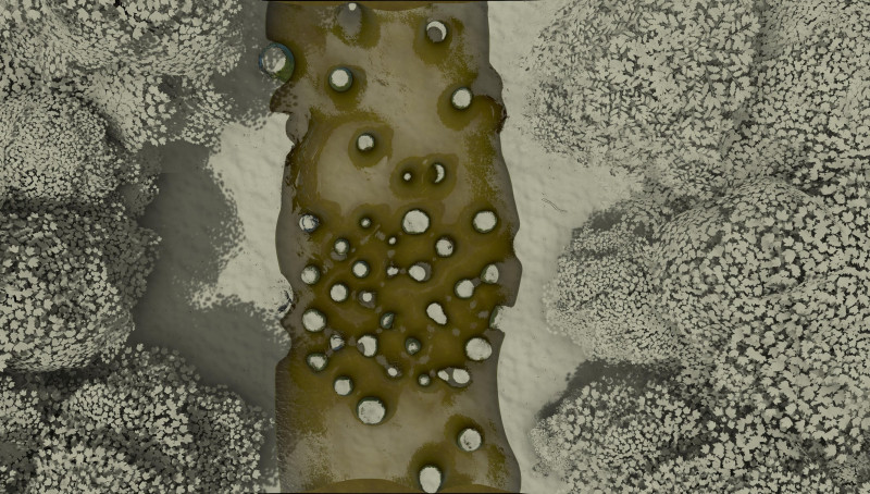 Tales of the Old Margreve, Challenge of the Fang