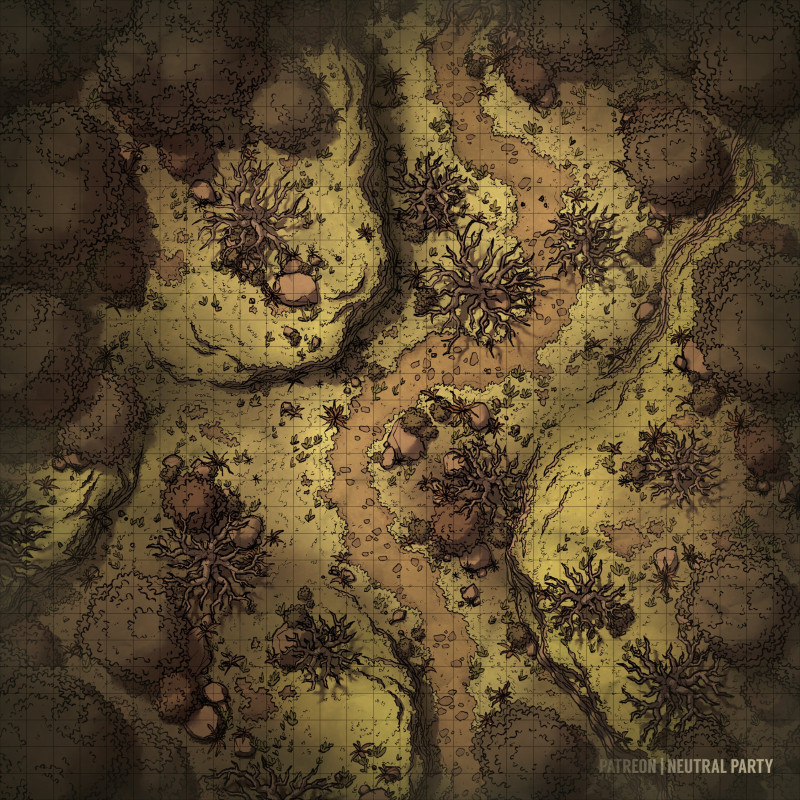 Shadowed Trail [30x30]