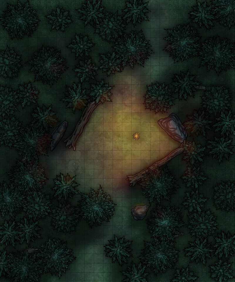 Camp in a cedar forest