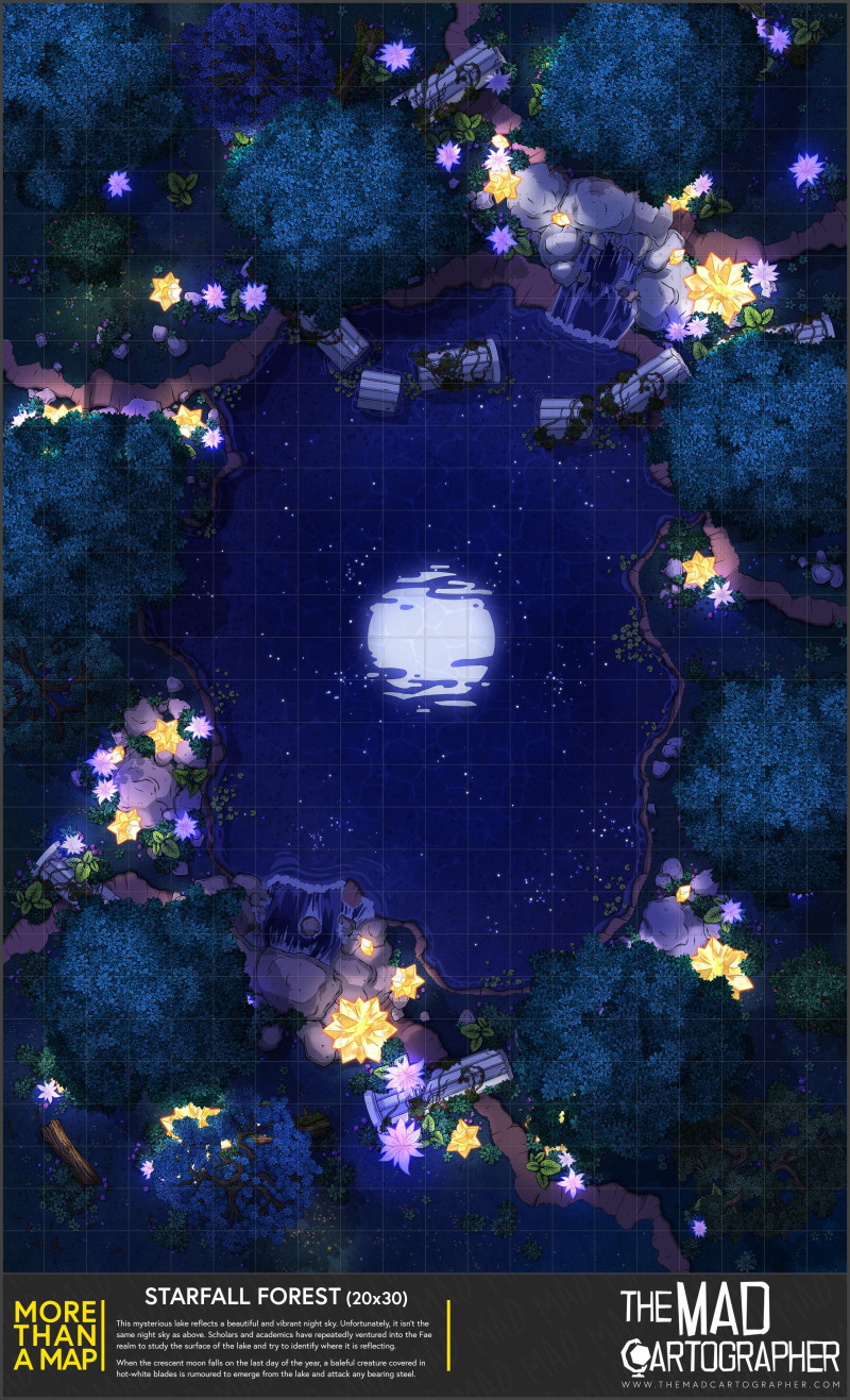 [20x30] More Than a Map: Starfall Forest