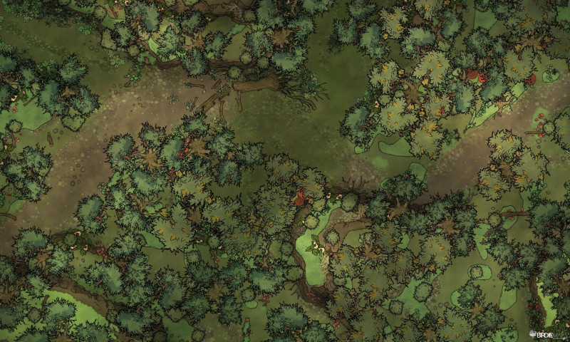 Swamp Road [50x30]