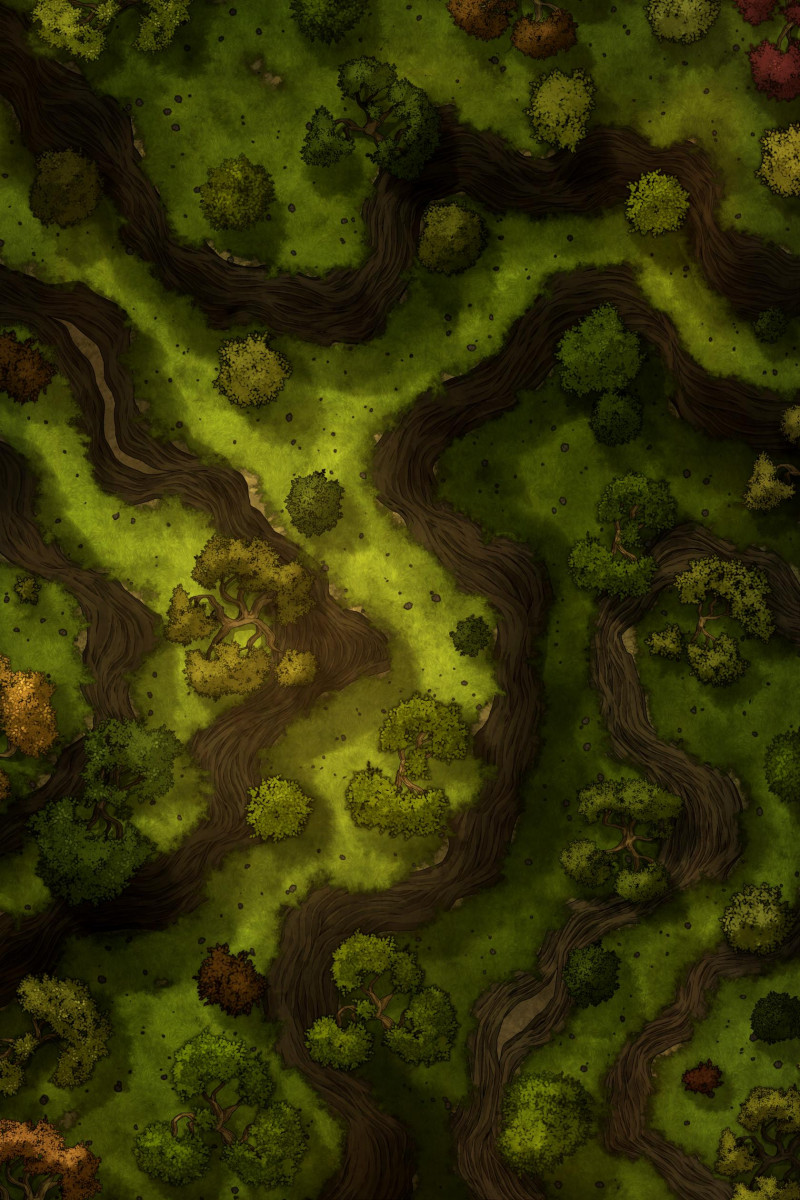 Nature Forest [24x36]