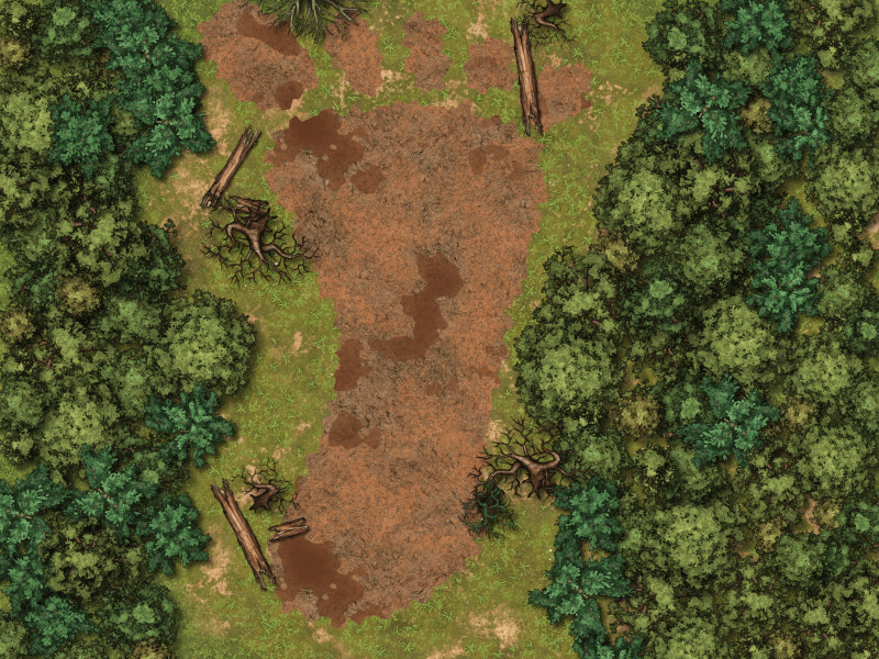 Footprint in the woods