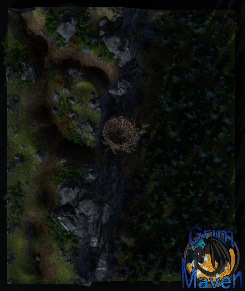 "The Nest"(27x32) Want a battlemap that Roc(k)s, and takes your players to new heights? Welcome to the Nest!